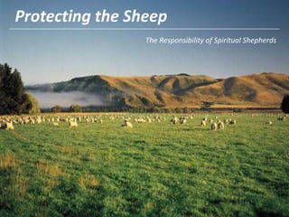 Protecting the Sheep The Responsibility of Spiritual Shepherds 