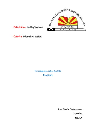 Catedrático: Dubley Sandoval
Catedra: Informática Básica1
Investigación sobre los bits
Practica 3
Sosa García, Cesar Andres
03/03/15
4to. P.A
 