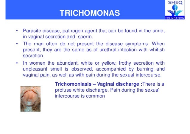 Sheq foundation health promotion