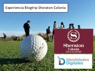 Experiencia Blogtrip Sheraton Colonia
 
