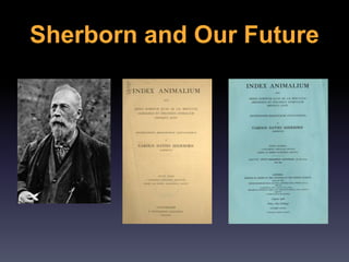 Sherborn and Our Future
 