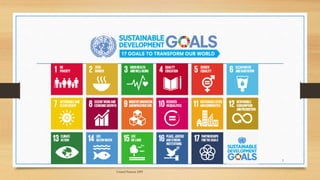 United Nations DPI
3
 