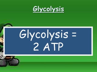 Glycolysis
Glycolysis =
2 ATP
 