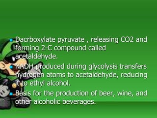  Dacrboxylate pyruvate , releasing CO2 and
forming 2-C compound called
acetaldehyde.
 NADH produced during glycolysis transfers
hydrogen atoms to acetaldehyde, reducing
it to ethyl alcohol.
 Basis for the production of beer, wine, and
other alcoholic beverages.
 