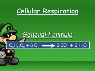 Cellular Respiration
General Formula
C6H12O6 + 6 O2 6 CO2 + 6 H2O
 