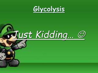 Glycolysis
Just Kidding… 
 