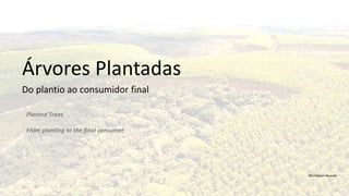 1
Árvores Plantadas
Do plantio ao consumidor final
BSC/Gleison Rezende
Planted Trees
From planting to the final consumer
 