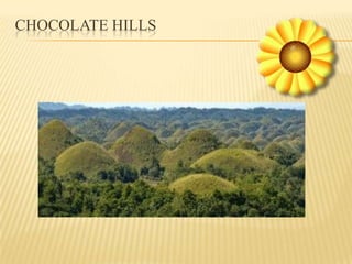 CHOCOLATE HILLS
 