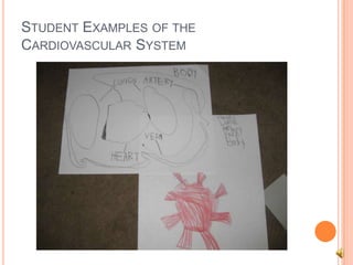 STUDENT EXAMPLES OF THE
CARDIOVASCULAR SYSTEM
 