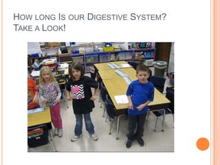HOW LONG IS OUR DIGESTIVE SYSTEM?
TAKE A LOOK!
 