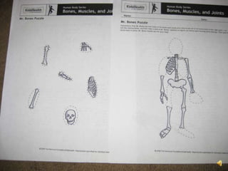 MR. BONES
 http://kidshealth.org/classroom/prekto2/body/parts/b
ones_handout1.pdf
 