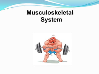 Musculoskeletal System