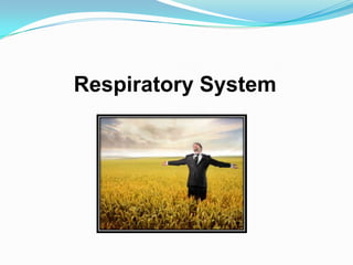 Respiratory System