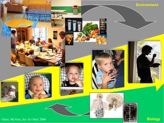 Environment

Glass, McAtee, Soc Sci Med, 2006

Biology

 