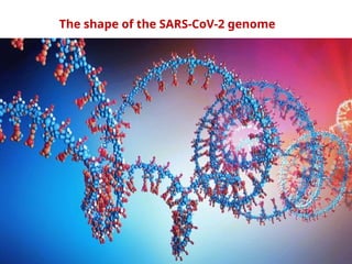 whole genome sequence analysis of sars-cov-2 | PPTX