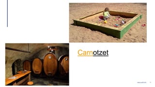 11www.luxoft.com
Carnotzet
 