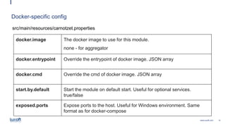 14www.luxoft.com
Docker-specific config
src/main/resources/carnotzet.properties
docker.image The docker image to use for this module.
none - for aggregator
docker.entrypoint Override the entrypoint of docker image. JSON array
docker.cmd Override the cmd of docker image. JSON array
start.by.default Start the module on default start. Useful for optional services.
true/false
exposed.ports Expose ports to the host. Useful for Windows environment. Same
format as for docker-compose
 