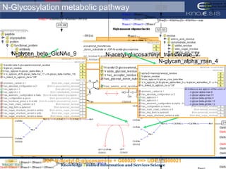 N-glycan_beta_GlcNAc_9N-glycan_alpha_man_4GNT-Vattaches GlcNAc at position 6N-acetyl-glucosaminyl_transferase_VUDP-N-acetyl-D-glucosamine + alpha-D-Mannosyl-1,3-(R1)-beta-D-mannosyl-R2 <=> UDP + N-Acetyl-$beta-D-glucosaminyl-1,2-alpha-D-mannosyl-1,3-(R1)-beta-D-mannosyl-$R2 UDP-N-acetyl-D-glucosamine + G00020 <=> UDP + G00021 N-Glycosylation metabolic pathwayGNT-Iattaches GlcNAc at position 2