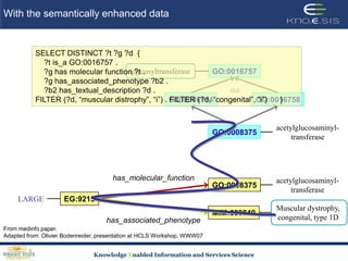 With the semantically enhanced dataglycosyltransferaseGO:0016757isaGO:0008194GO:0016758acetylglucosaminyl-transferaseGO:0008375has_molecular_functionacetylglucosaminyl-transferaseGO:0008375EG:9215LARGEMuscular dystrophy, congenital, type 1D MIM:608840has_associated_phenotypeSELECT DISTINCT ?t ?g ?d  {    ?t is_a GO:0016757 .    ?g has molecular function ?t .    ?g has_associated_phenotype ?b2 .    ?b2 has_textual_description ?d .FILTER (?d, “muscular distrophy”, “i”) . FILTER (?d, “congenital”, “i”)      }From medinfo paper.Adapted from: Olivier Bodenreider, presentation at HCLS Workshop, WWW07