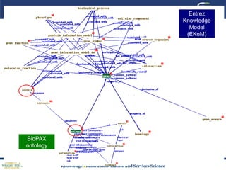 Genome and pathway information integrationKEGGReactomeHumanCycpathway