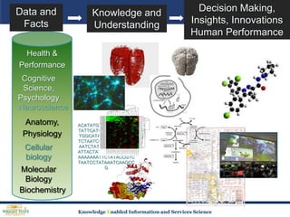 Decision Making, Insights, InnovationsHuman PerformanceData and FactsKnowledge and UnderstandingHealth & PerformanceCognitive Science, PsychologyNeuroscienceAnatomy, PhysiologyCellular biologyMolecular BiologyACATATGGGTACTATTTACTATTCATGGGTACTATTTATGGCATATGGCGTACTATTCTAATCCTATATCCGTCTAATCTATTTACTATTATCTATTACTATACCTTTTGGGGAAAAAAATTCTATACCGTCTAATCCTATAAATCAAGCCGBiochemistry