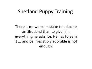 Shetland Puppy Training

There is no worse mistake to educate
       an Shetland than to give him
everything he asks for. He has to earn
it ... and be irresistibly adorable is not
                  enough.
 