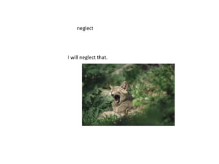 neglectI will neglect that.