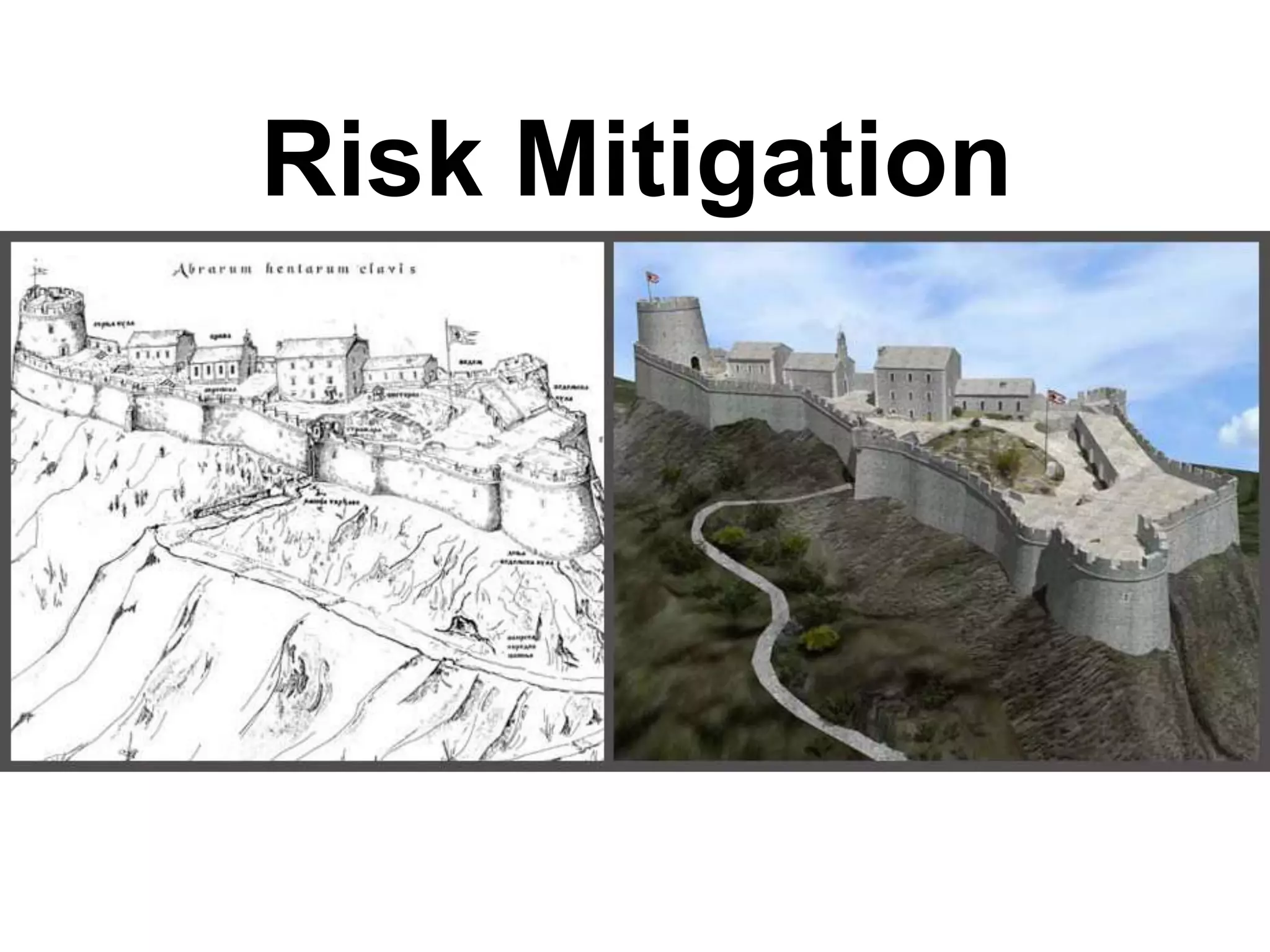 Risk Mitigation

 