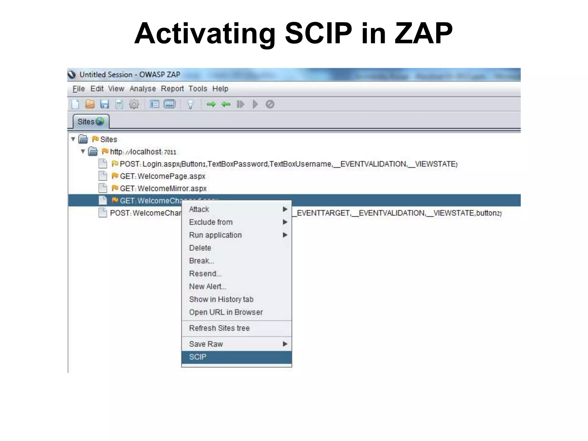 Activating SCIP in ZAP

 
