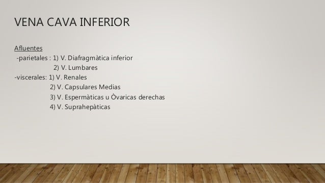 cadena iliaca primitiva derecha abd 243 men cadena iliaca primitiva derecha abd 243 men