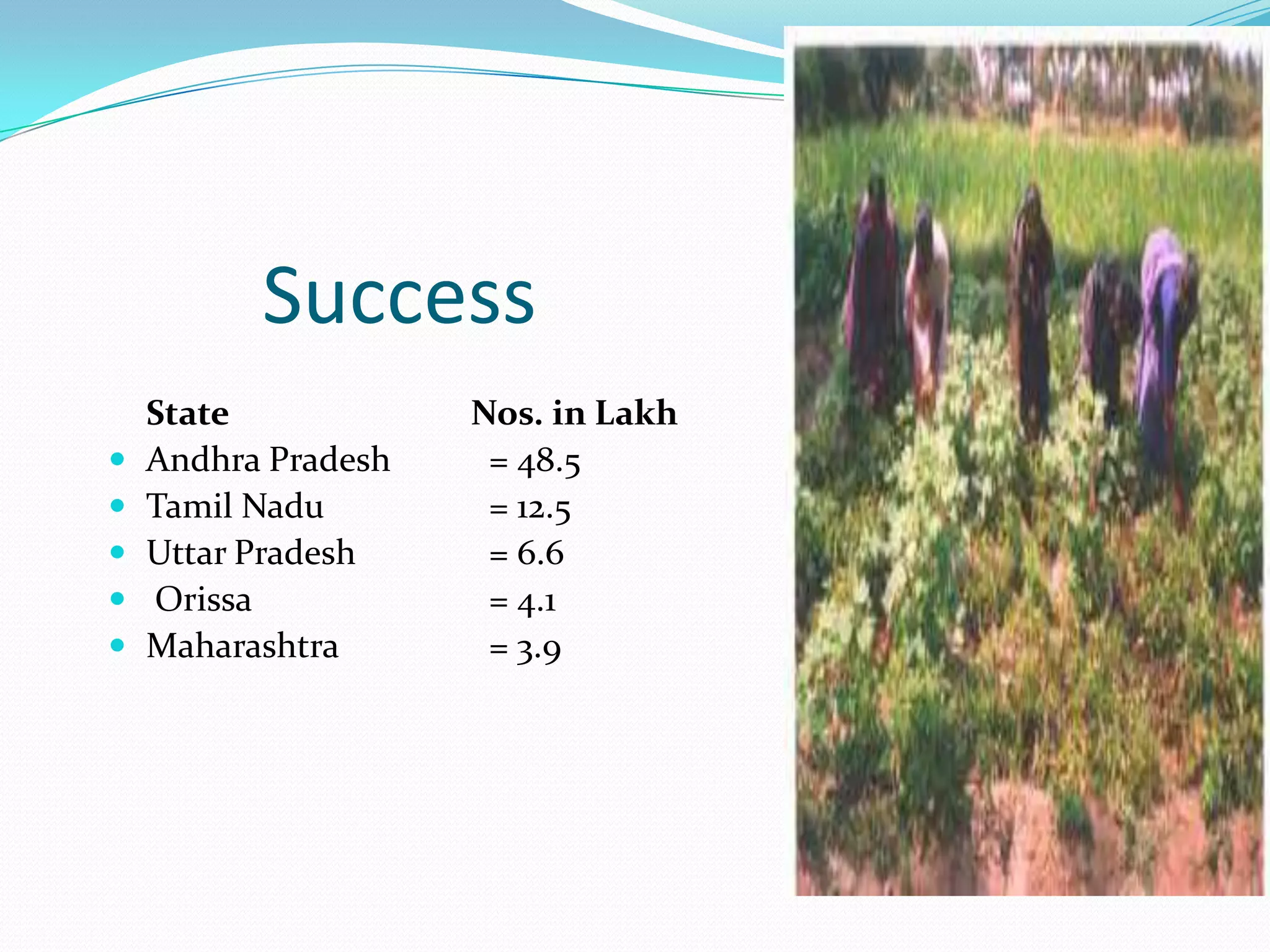 Success
    State            Nos. in Lakh
   Andhra Pradesh    = 48.5
   Tamil Nadu        = 12.5
   Uttar Pradesh     = 6.6
   Orissa            = 4.1
   Maharashtra       = 3.9
 