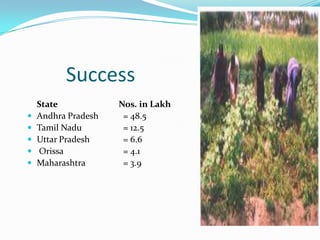 Success
    State            Nos. in Lakh
   Andhra Pradesh    = 48.5
   Tamil Nadu        = 12.5
   Uttar Pradesh     = 6.6
   Orissa            = 4.1
   Maharashtra       = 3.9
 