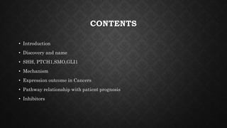 CONTENTS
• Introduction
• Discovery and name
• SHH, PTCH1,SMO,GLI1
• Mechanism
• Expression outcome in Cancers
• Pathway relationship with patient prognosis
• Inhibitors
 