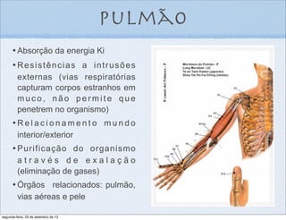 pulmão
•	

Absorção da energia Ki
•	

Resistências a intrusões
externas (vias respiratórias
capturam corpos estranhos em
m u c o , n ã o p e r m i t e q u e
penetrem no organismo)
•	

R e l a c i o n a m e n t o m u n d o
interior/exterior
•	

Purificação do organismo
a t r a v é s d e e x a l a ç ã o
(eliminação de gases)
•	

Órgãos relacionados: pulmão,
vias aéreas e pele
segunda-feira, 23 de setembro de 13
 