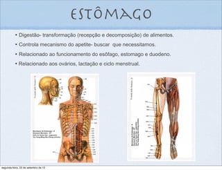 Estômago
•	

 Digestão- transformação (recepção e decomposição) de alimentos.
•	

 Controla mecanismo do apetite- buscar que necessitamos.
•	

 Relacionado ao funcionamento do esôfago, estomago e duodeno.
• Relacionado aos ovários, lactação e ciclo menstrual.
segunda-feira, 23 de setembro de 13
 