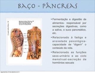 baço - pâncreas
•	

Fermentação e digestão de
alimentos- responsável por
secreções digestivas, como
a saliva, o suco pancreático,
etc.
•	

Relacionado à fadiga e
ansiedade psicológica-
capacidade de “digerir” o
conteúdo da vida.
•	

Relacionado as funções
sexo-urinário e ao ciclo
menstrual-secreção de
hormônios sexuais
segunda-feira, 23 de setembro de 13
 