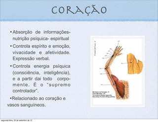 coração
•	

Absorção de informações-
nutrição psíquica- espiritual
•	

Controla espírito e emoção,
vivacidade e afetividade.
Expressão verbal.
•	

Controla energia psíquica
(consciência, inteligência),
e a partir dai todo corpo-
mente. É o “supremo
controlador”.
•Relacionado ao coração e
vasos sanguíneos.
segunda-feira, 23 de setembro de 13
 