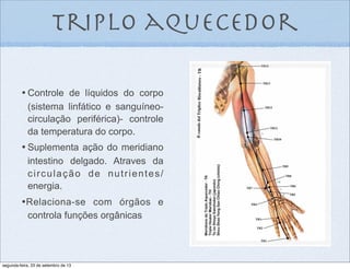 triplo aquecedor
•	

Controle de líquidos do corpo
(sistema linfático e sanguíneo-
circulação periférica)- controle
da temperatura do corpo.
•	

Suplementa ação do meridiano
intestino delgado. Atraves da
circulação de nutrientes/
energia.
•Relaciona-se com órgãos e
controla funções orgânicas
segunda-feira, 23 de setembro de 13
 