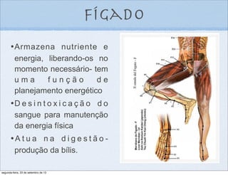 fígado
•	

Armazena nutriente e
energia, liberando-os no
momento necessário- tem
u m a f u n ç ã o d e
planejamento energético
•	

D e s i n t o x i c a ç ã o d o
sangue para manutenção
da energia física
•A t u a n a d i g e s t ã o -
produção da bílis.
segunda-feira, 23 de setembro de 13
 