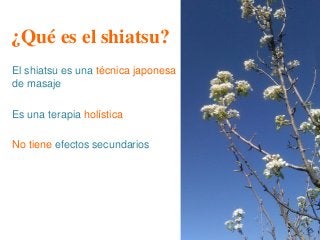 ¿Qué es el shiatsu?
El shiatsu es una técnica japonesa
de masaje
Es una terapia holística
No tiene efectos secundarios
 