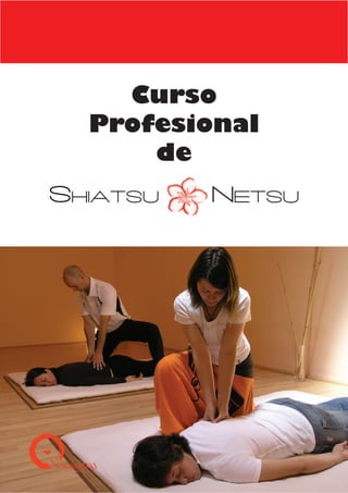 Curso
Profesional
de
Shiatsu Netsu
 