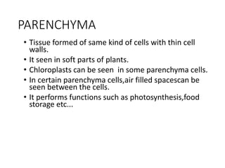 PARENCHYMA
• Tissue formed of same kind of cells with thin cell
walls.
• It seen in soft parts of plants.
• Chloroplasts can be seen in some parenchyma cells.
• In certain parenchyma cells,air filled spacescan be
seen between the cells.
• It performs functions such as photosynthesis,food
storage etc...
 