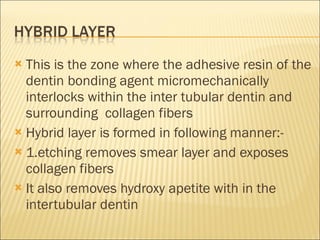This is the zone where the adhesive resin of the dentin bonding agent micromechanically interlocks within the inter tubular dentin and surrounding  collagen fibers Hybrid layer is formed in following manner:- 1.etching removes smear layer and exposes collagen fibers It also removes hydroxy apetite with in the intertubular dentin 