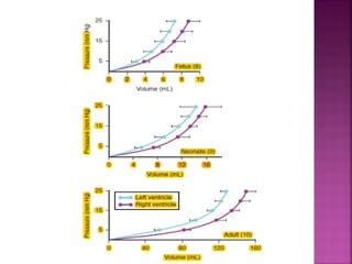 neonatal physiology | PPT