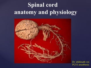 Spinal cord
anatomy and physiology
Dr shibinath vm
PGY1 anasthesia
 