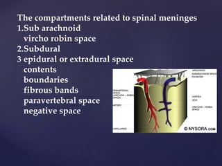 The compartments related to spinal meninges
1.Sub arachnoid
vircho robin space
2.Subdural
3 epidural or extradural space
contents
boundaries
fibrous bands
paravertebral space
negative space
 