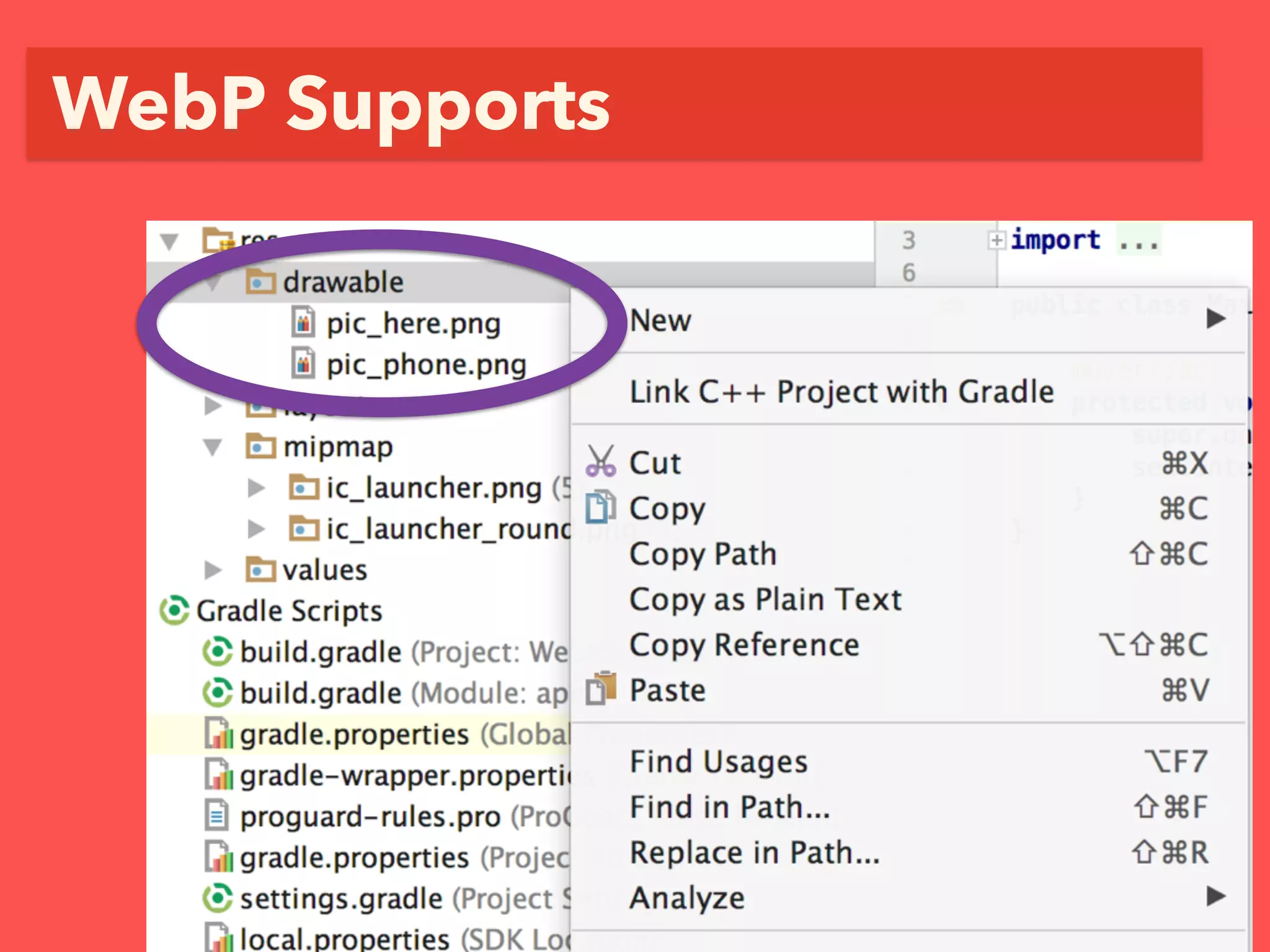 WebP Supports
 