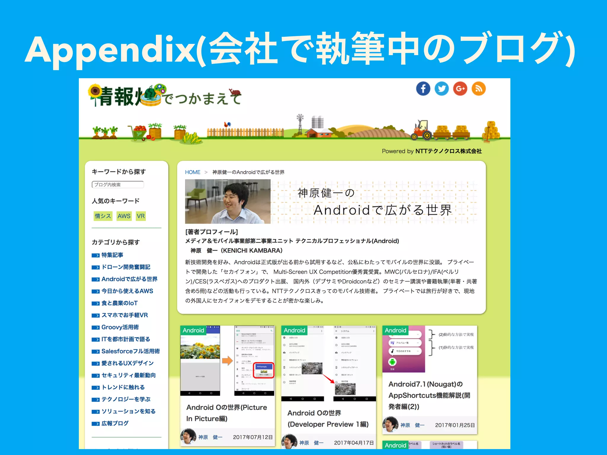 Appendix( )
 