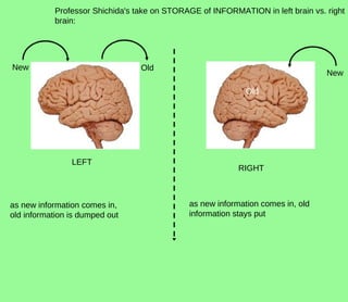 Sichida Shichida presentation alyssa | PPT