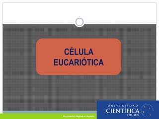 • OBJETIVOS 
 Analiza la diferencia entre la célula procariota y eucariota 
 Reconoce la célula eucariota. 
 Identifica...